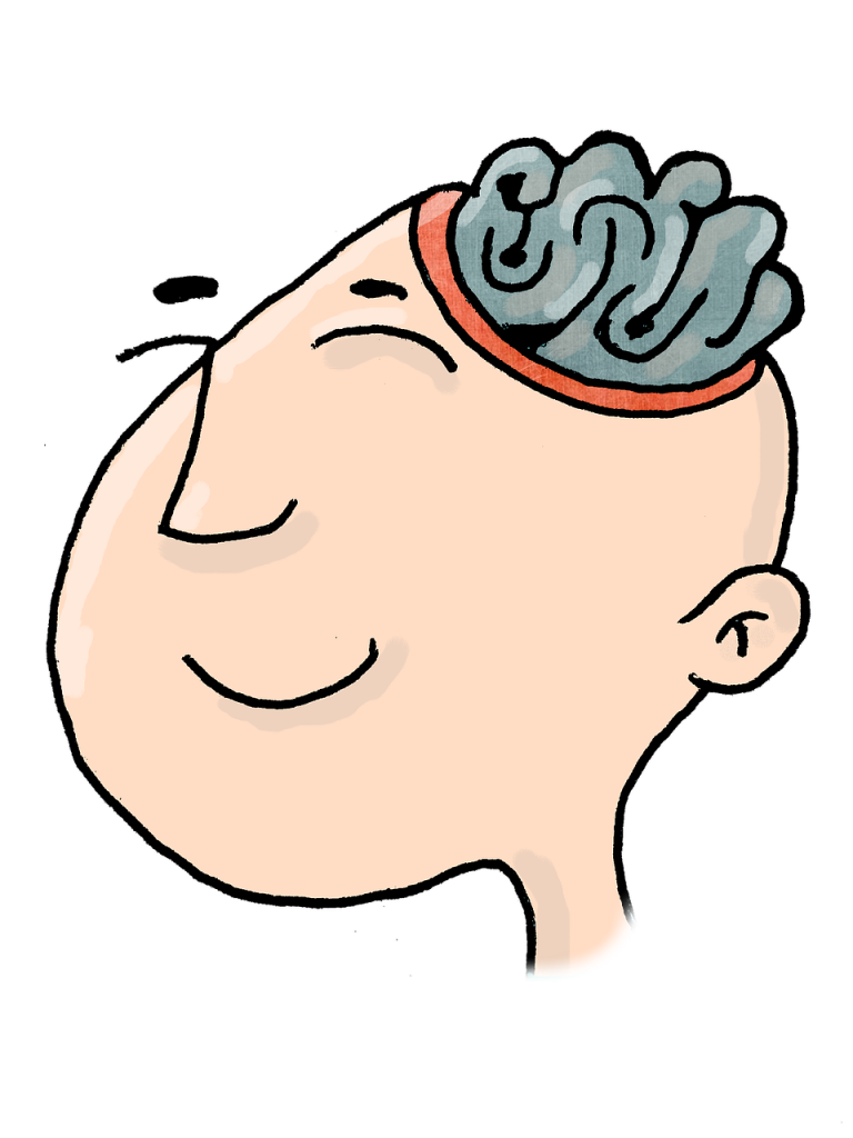 head-806232_1280